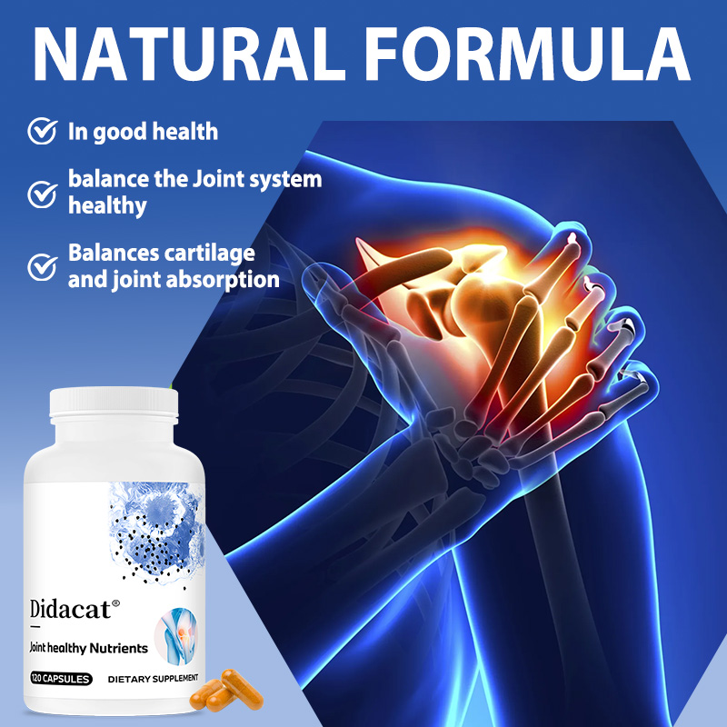 글루코사민 콘드로이틴 MSM과 강황 - 관절 기능 개선 - Glucosamine Chondroitin Joint 리뷰 및 가격